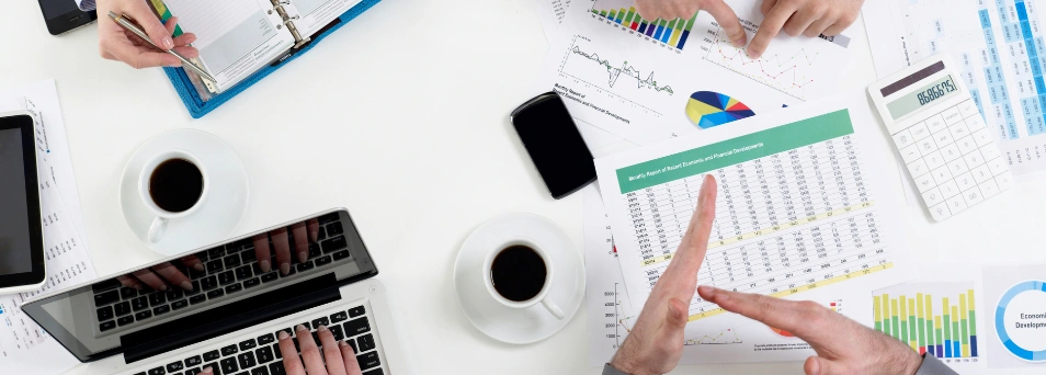 Web Design & UI/UX Development Web Design & UI/UX Development