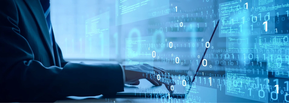 Custom Web Application Development Custom Web Application Development